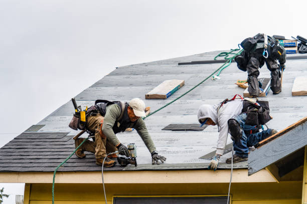 Professional Roof Repair technician working in Woodland, PA
